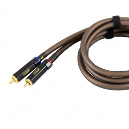 4 Connect RCA 1 m stage 5