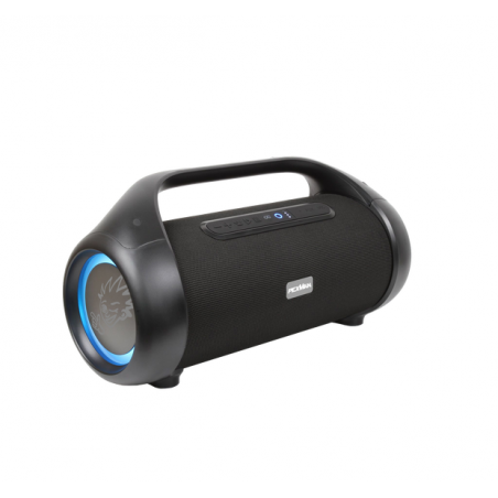 PEXMAN PM-50 Noir (Enceinte bluetooth)