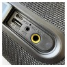 PEXMAN PM-50 Noir (Enceinte bluetooth)