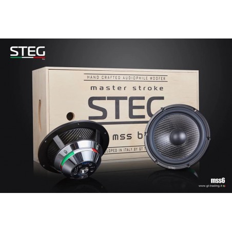 STEG Masterstroke MSS6 (Paire de 16.5 cm, 200 WRMS, 4 Ohm)